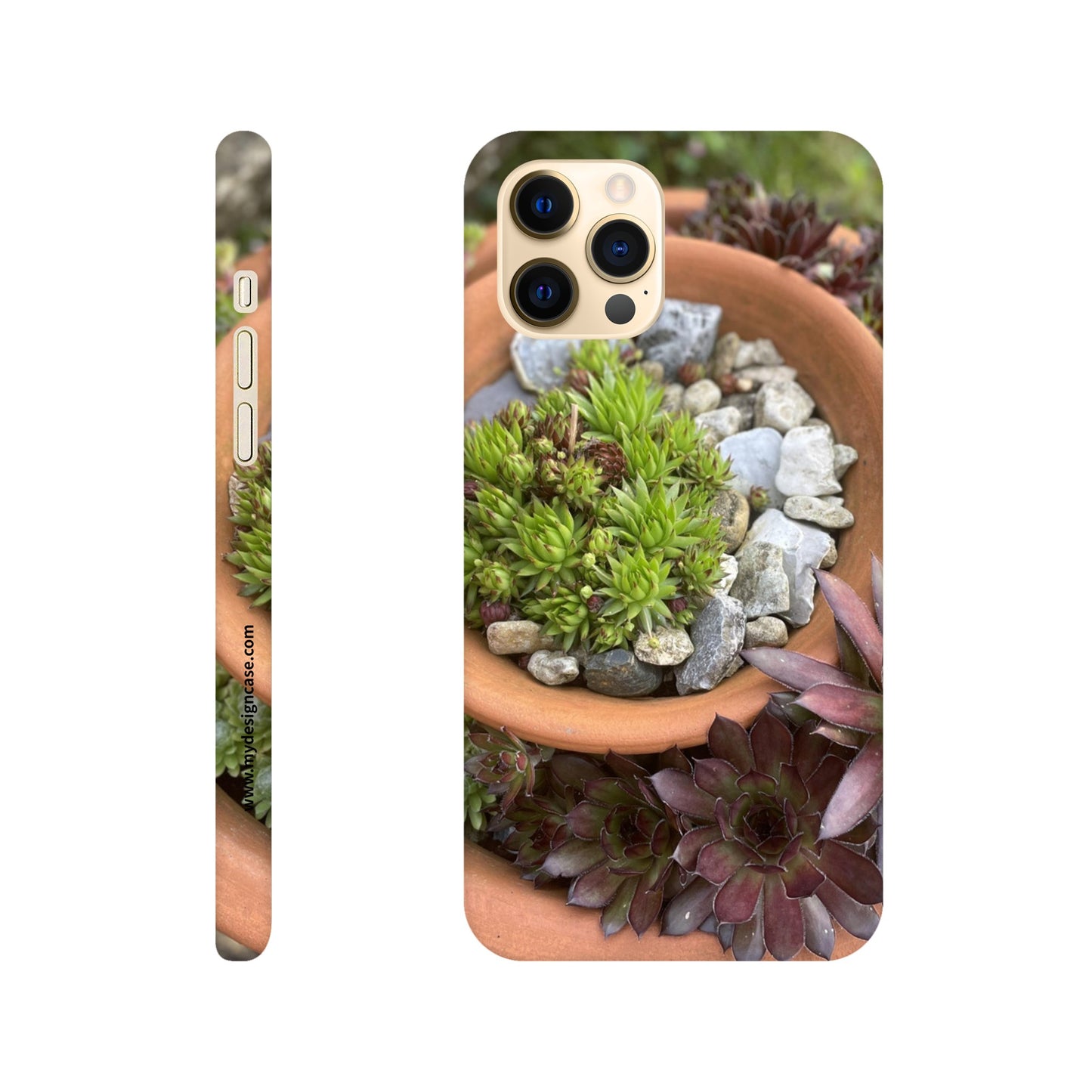 6e1d0392-f244-418e-9d7b-75453afab2ad