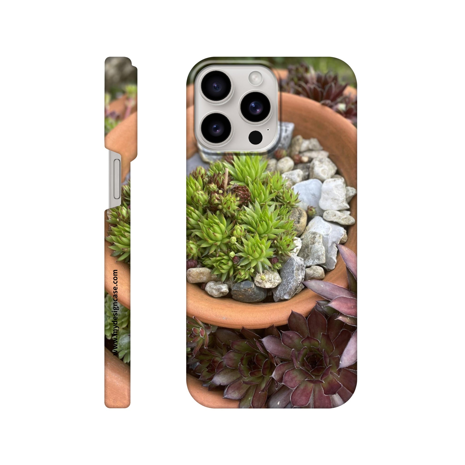 succulent iphone case iPhone | Single photo